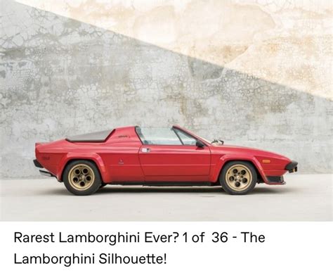 Lamborghini Silhouette | Lamborghini, Car