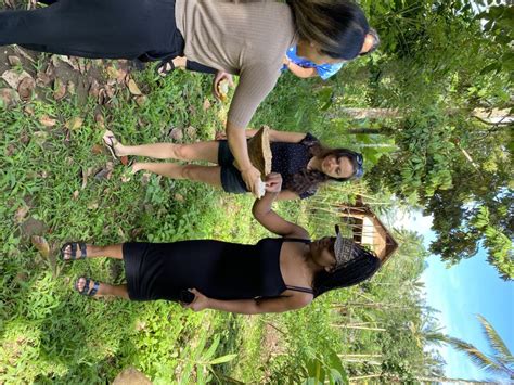 From Ubud Balinese Cooking Class At An Organic Farm