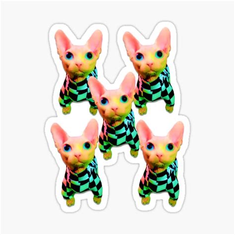 Bingus Sphynx Cat Checkered Sticker For Sale By Cannevas Redbubble