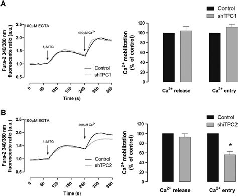 Silencing Tpc Expression Attenuates The Rate And Extent Of Ca In Fl