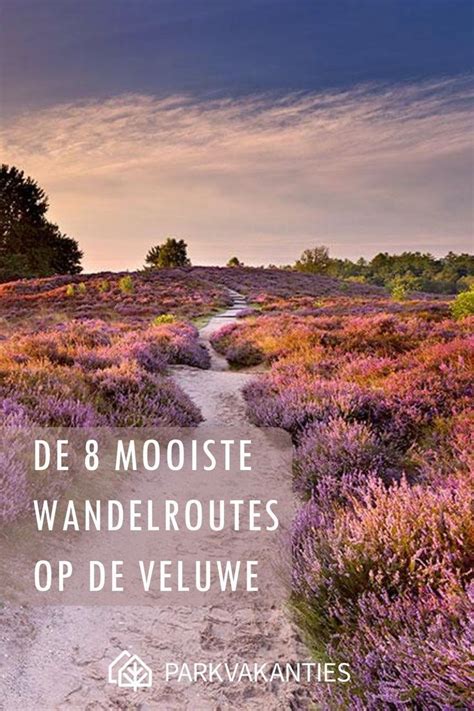 Waar Wandelen Op De Veluwe 8x Wandelroutes Tips Artofit