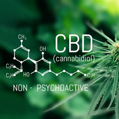 Qu Es Y Para Qu Te Sirve El Cbd Asociaci N Amala De Cannabis