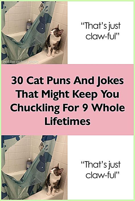 30 Cat Puns And Jokes That Might Keep You Chuckling For 9 Whole