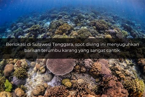 Quiz Jangan Ngaku Suka Diving Kalau Gak Tahu Spot Diving Tercantik Di