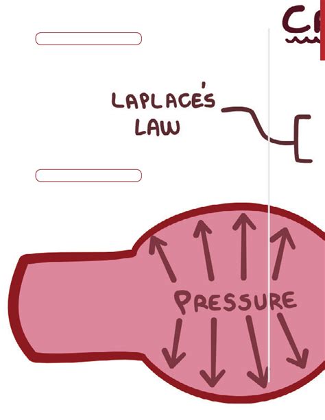 Aneurysms And Dissection Notes Diagrams Illustrations Osmosis