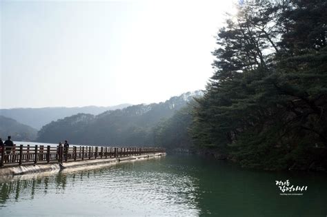 봄나들이포천여행 산정호수 둘레길 산책 포천여행 가볼만한곳 추천 반려견과 함께하는 여행지 네이버 블로그