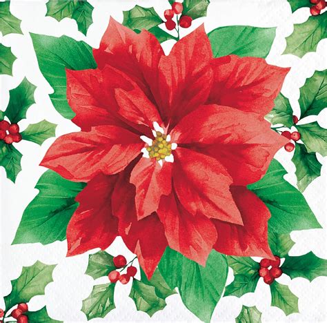 Creative Converting Elegant Poinsettia Beverage Napkins 5 Multi Color Home