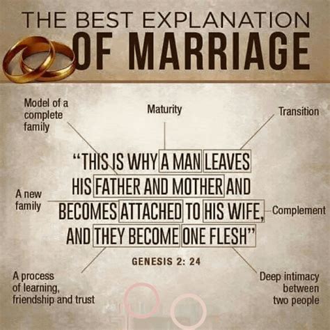 Marriage Explained In One Bible Verse My Amazing Stuff