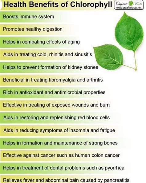 Liquid chlorophyll benefits - notesholden