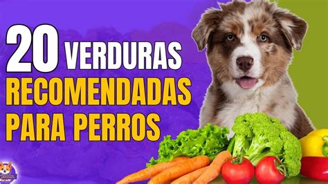 Los perros pueden comer rábanos