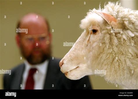 Dolly the sheep museum hi-res stock photography and images - Alamy