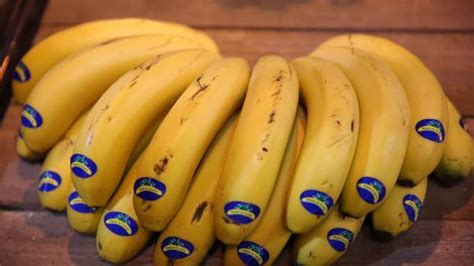 Las Propiedades Del Platano Beneficios Para Tu Salud Medicina Salud Y Bienestar De España