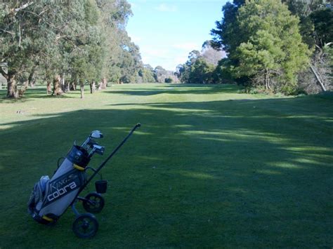 Seabrook Golf Club Inc. - Wynyard Fairway view on Hole 4