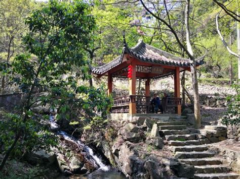 绍兴凤鸣山凤鸣山重庆凤鸣山第7页大山谷图库