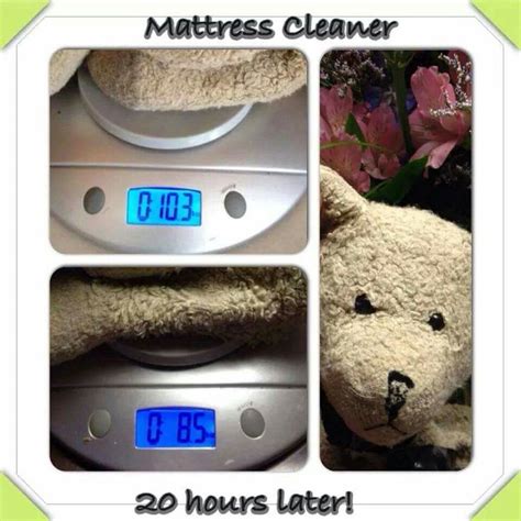 Mattress Cleaner Proof Norwex Mattress Cleaner Mattress Cleaner Norwex