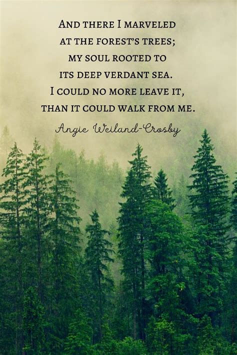 Nature Quotes Trees Forest Quotes Nature Poem Tree Quotes Quotes