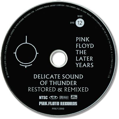 Pink Floyd Ilustrado Delicate Sound Of Thunder Restored Remixed