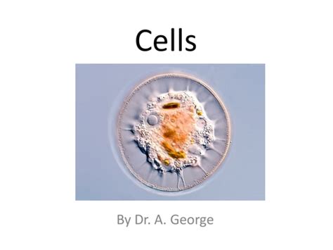 Introduction To Cells Teaching Resources