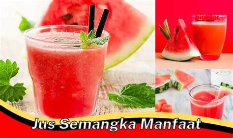 Temukan Manfaat Jus Semangka Yang Jarang Diketahui Biotifor