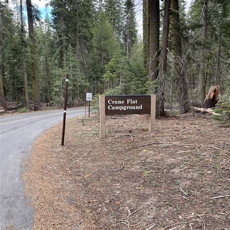 Crane Flat Campground In Yosemite National Park To Be Rehabilitated