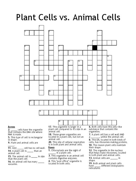 Plant Cells Vs Animal Cells Puzzle Pdf Cell Biology Eukaryotes