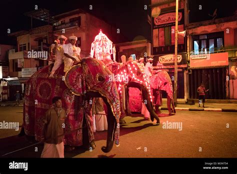 Sri Lanka Kandy Esala Perahera Parade Elephants Costume Caparison