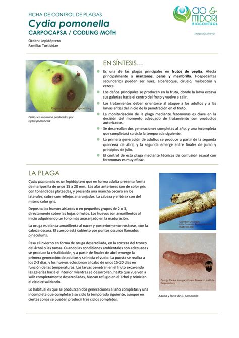 Cydia Pomonella Ao Midori Biocontrol