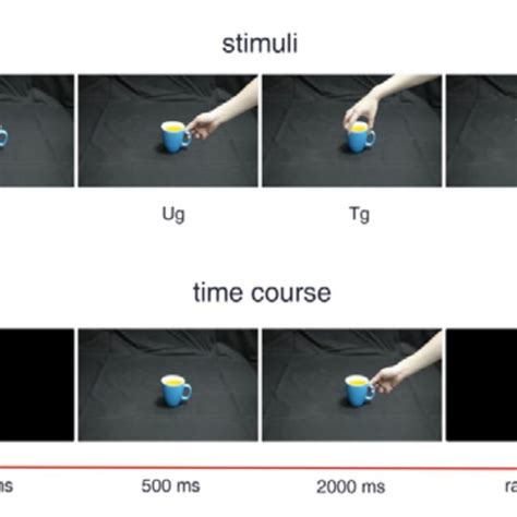 Experimental Stimuli And Procedure A Examples Of The Different