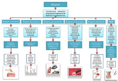 Tipos De Biopsias Que Debes Conocer