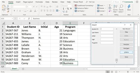 Excel Data Entry Form