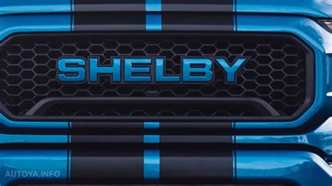 Shelby F150 2025 Arden Brigida