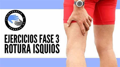 Readaptaci N De Una Rotura Fibrilar Del B Ceps Femoral De Un