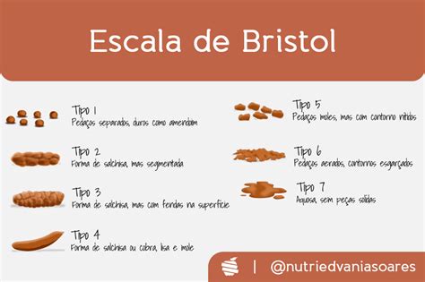 Escala De Bristol Enfermagem Ilustrada Verloop Io