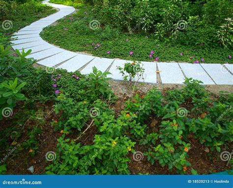 Winding Path In Garden Stock Photos - Image: 18520213