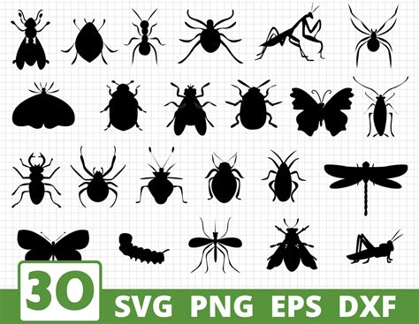 INSECTS SILHOUTEE SVG BUNDLE | Butterflies svg | Beatles cricut By ...