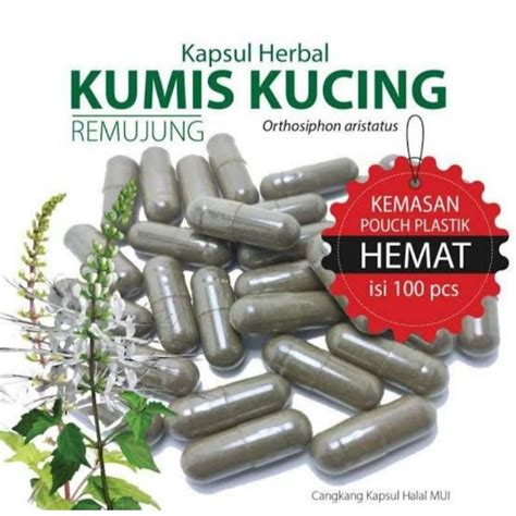 Jual Kapsul Kumis Kucing Herbal Halal Shopee Indonesia