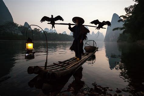 Fisherman With Cormorants On Li River Photograph by Matteo Colombo ...