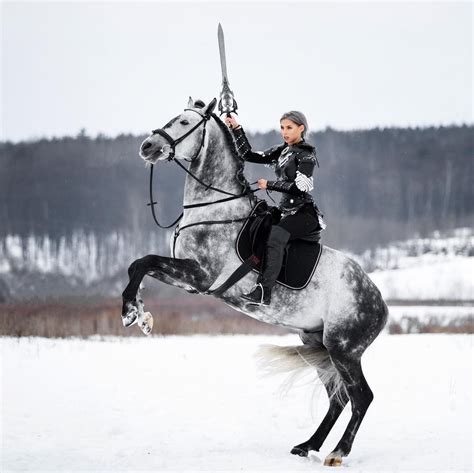 Pin on horses