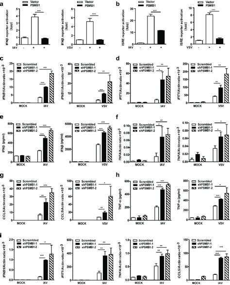 PSMB1 Negatively Regulates RNA Virus Induced Innate Immune Responses