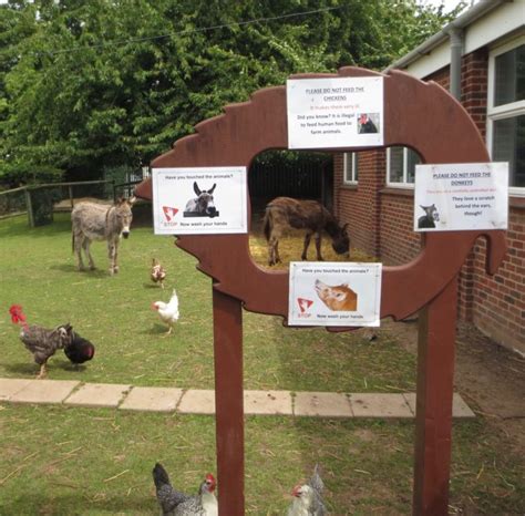 School Farms