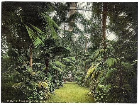 Palmenhaus Frankfurt Palm Garden Frankfurt Am Main Frankfurt