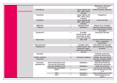 Tipos De Neurotransmisores Ppt