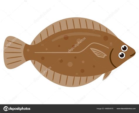 Simple Illustration Fresh Fish Flatfish Stock Vector By ©ankomando