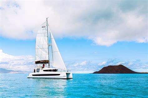 Desde Corralejo Caleta De Fuste Excursi N En Catamar N A La Isla De