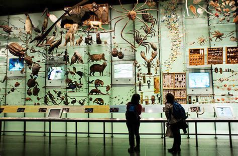 Worlds Best Natural History Museums Fodors Travel Guide