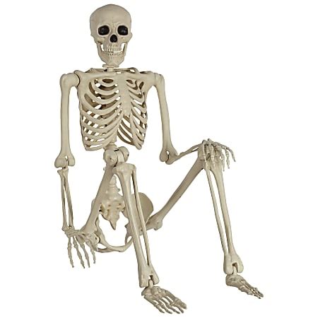 Amscan Life Size Poseable Skeleton Halloween Prop 5 White - Office Depot