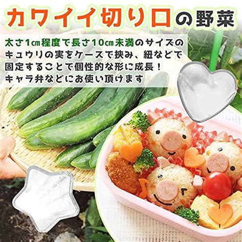 きゅうりの型 形成 星型 ハート型 野菜 飾り デコレーション デコ弁 キャラ弁 家庭菜園 自由研究 実験 Tod7fba1f185