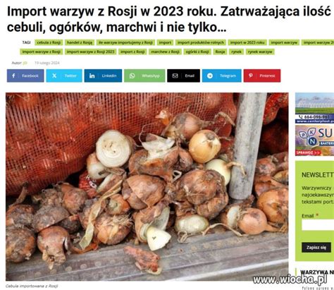 W 2023 roku import warzyw z Rosji do Polski wyniósł 38 74 tys ton