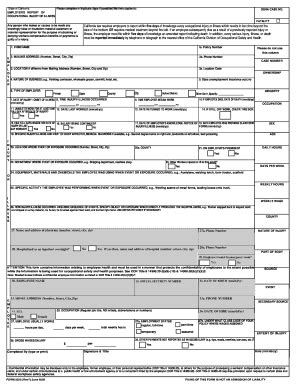 Wsib Form Fill Out Sign Online Dochub