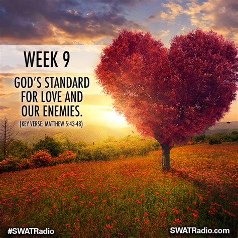 Week 9 God’s Standard For Love And Our Enemies Matthew 5 43 48 Swat Radio